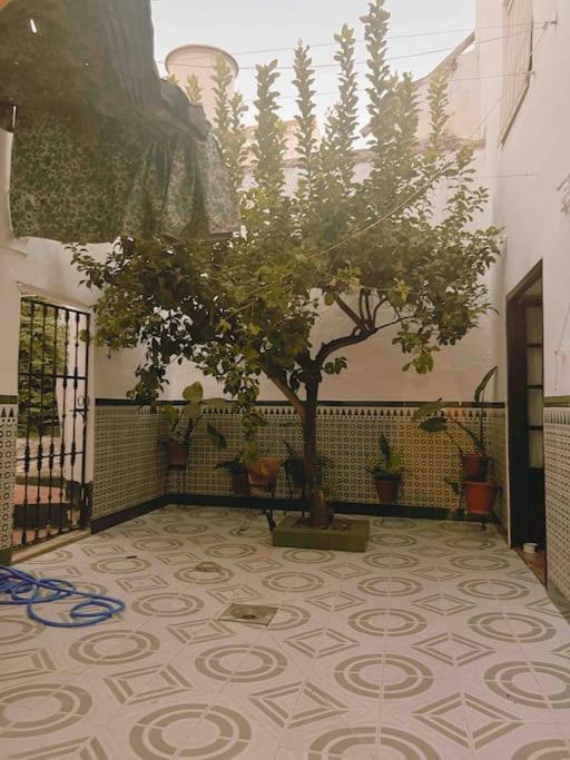 La Casa De Manolita Villa Baena Buitenkant foto